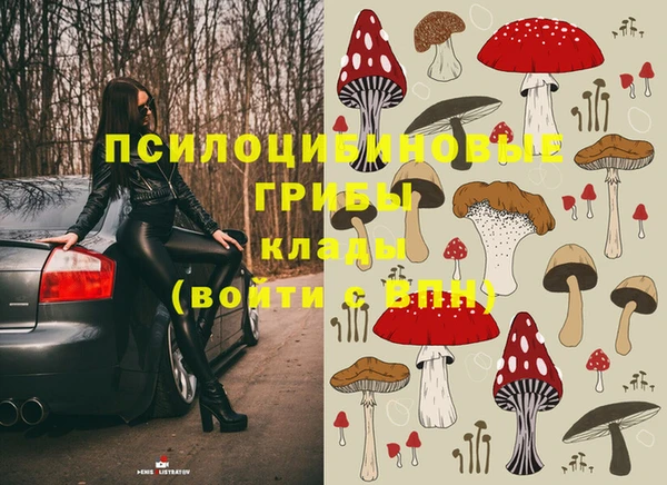 PSILOCYBIN Белоозёрский