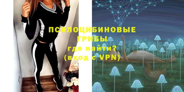 PSILOCYBIN Белоозёрский