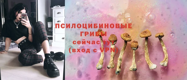 PSILOCYBIN Белоозёрский