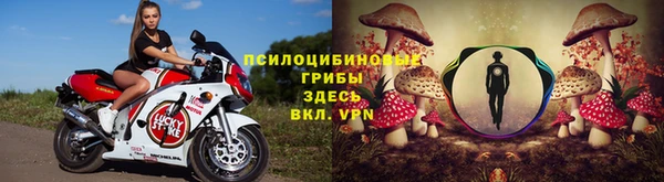 спайс Белокуриха