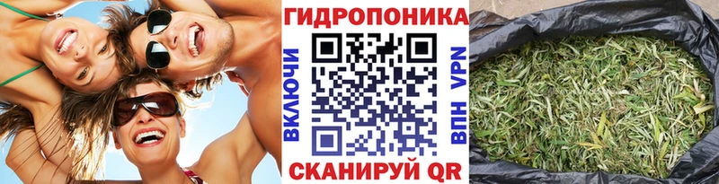 Канабис семена Ялта